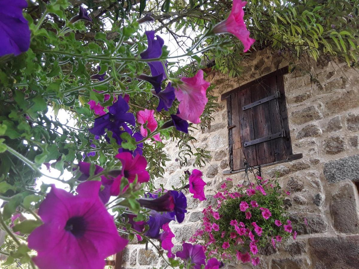 Bed and Breakfast La Belle Ame Saint-Priest-des-Champs Zewnętrze zdjęcie